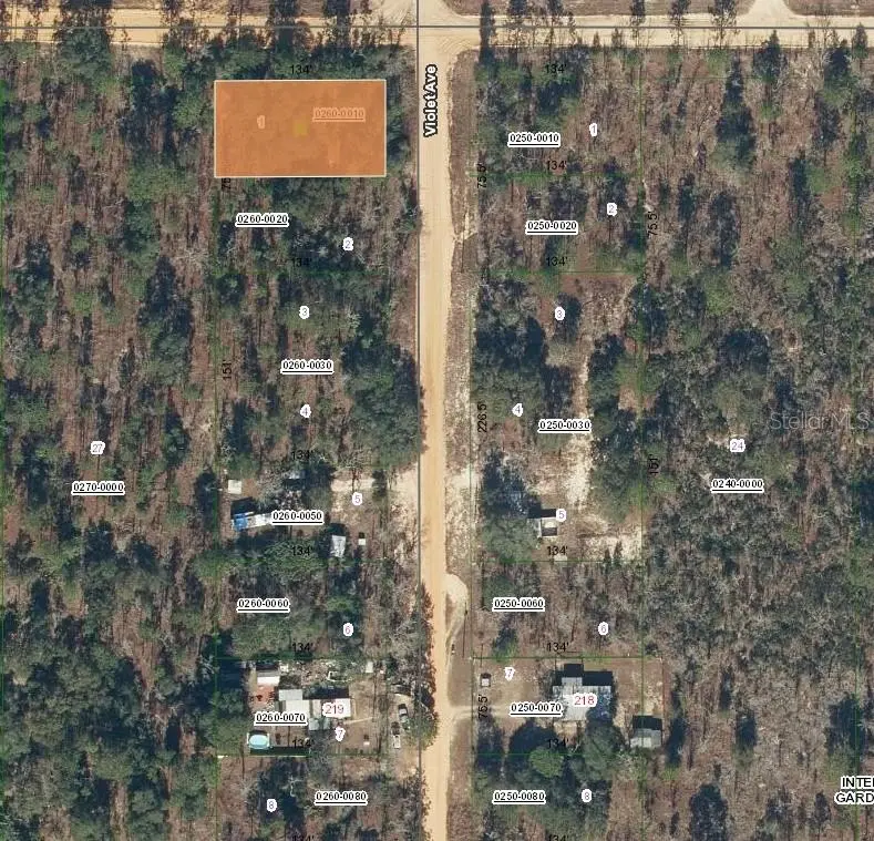 231 VIOLET AVE, Interlachen, FL 32148