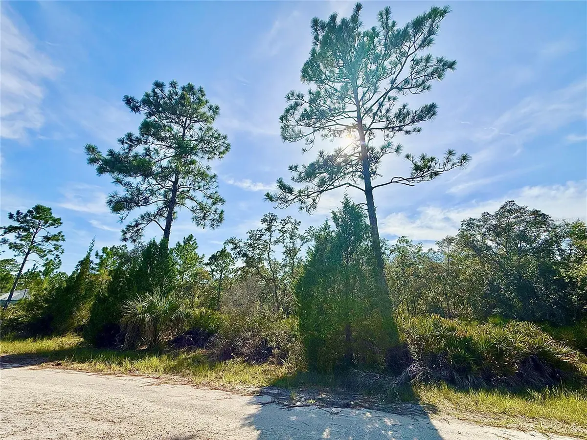 RYDAL RD, Weeki Wachee, FL 34614