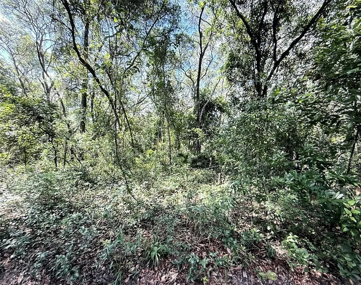 SW 150TH ST, Dunnellon, FL 34432