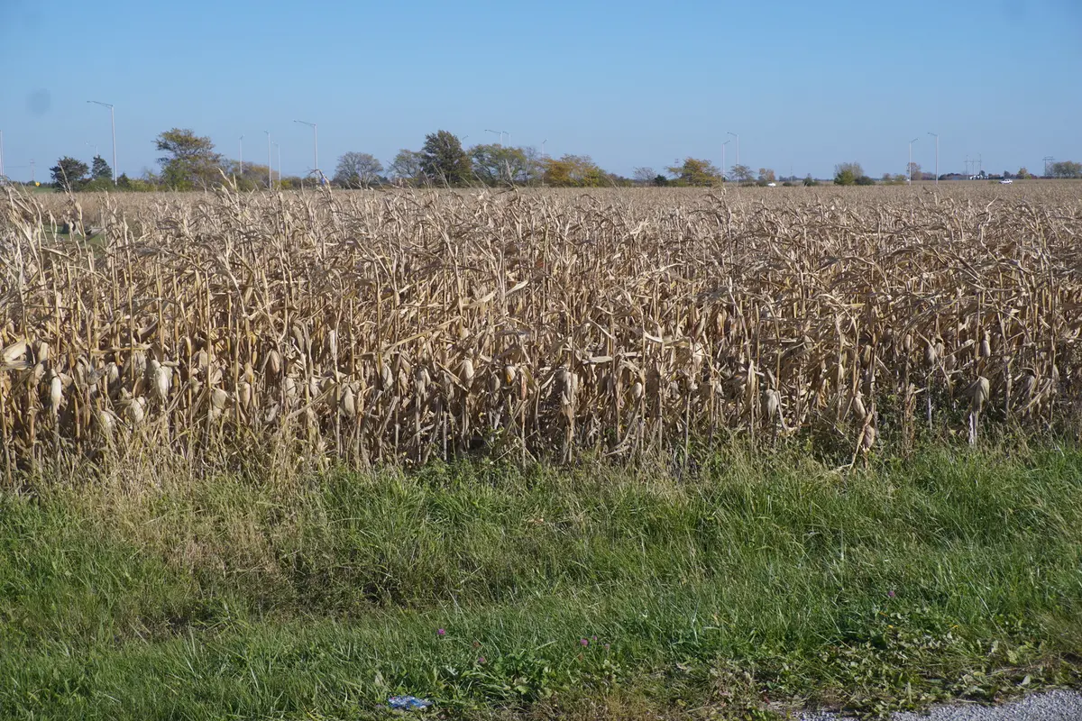 Sec7 Twp26N R10E RD, Gilman, IL 60938
