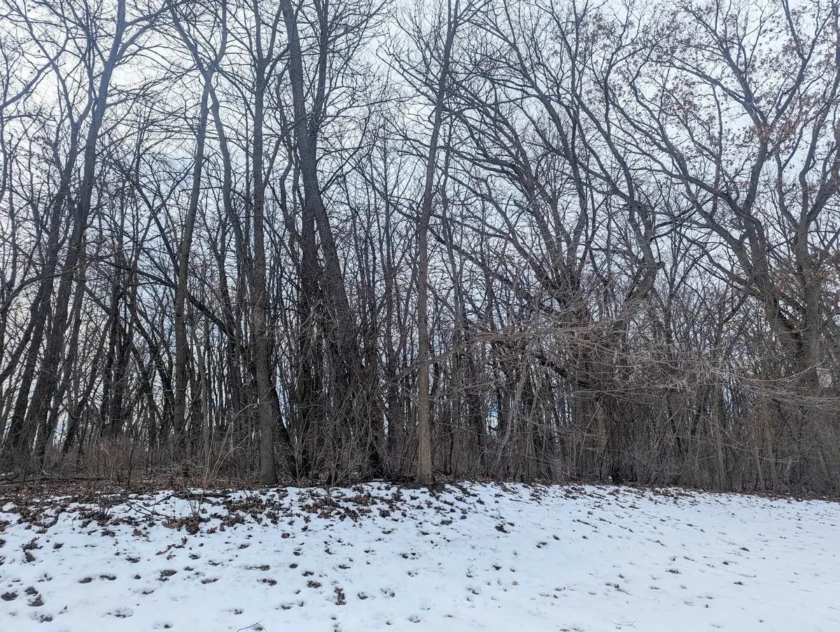 1711 Cedar LN, Spring Grove, IL 60081