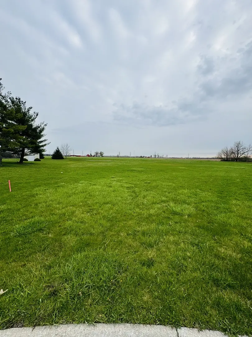 1039 Country CT, Crete, IL 60417