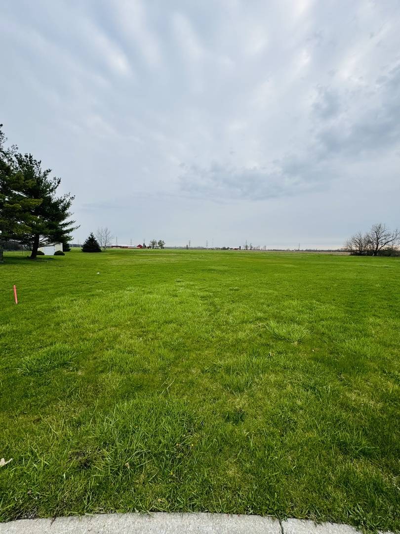 1039 Country CT, Crete, IL 60417