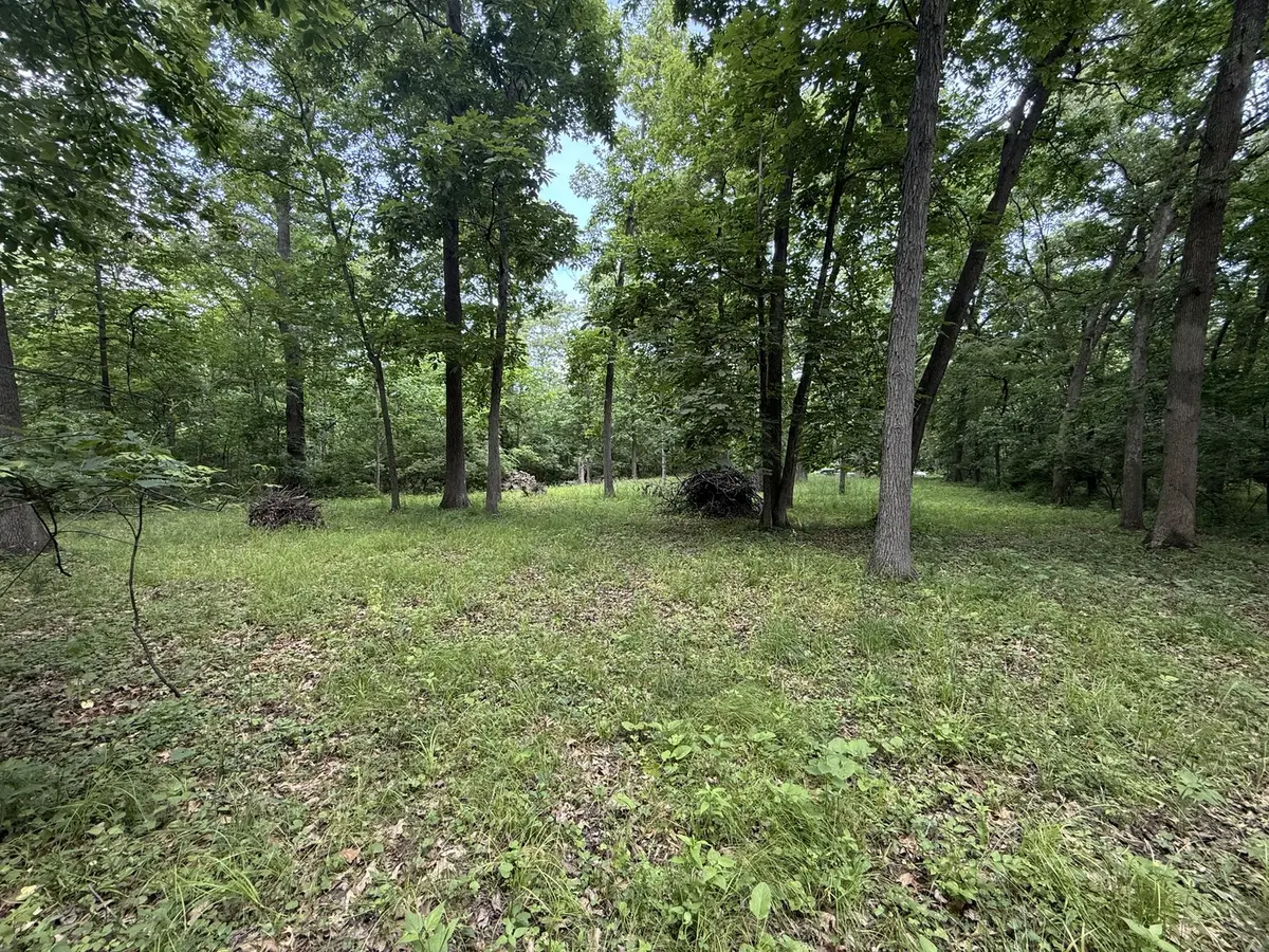 Lot 235 Lake Thunderbird DR, Tiskilwa, IL 61368