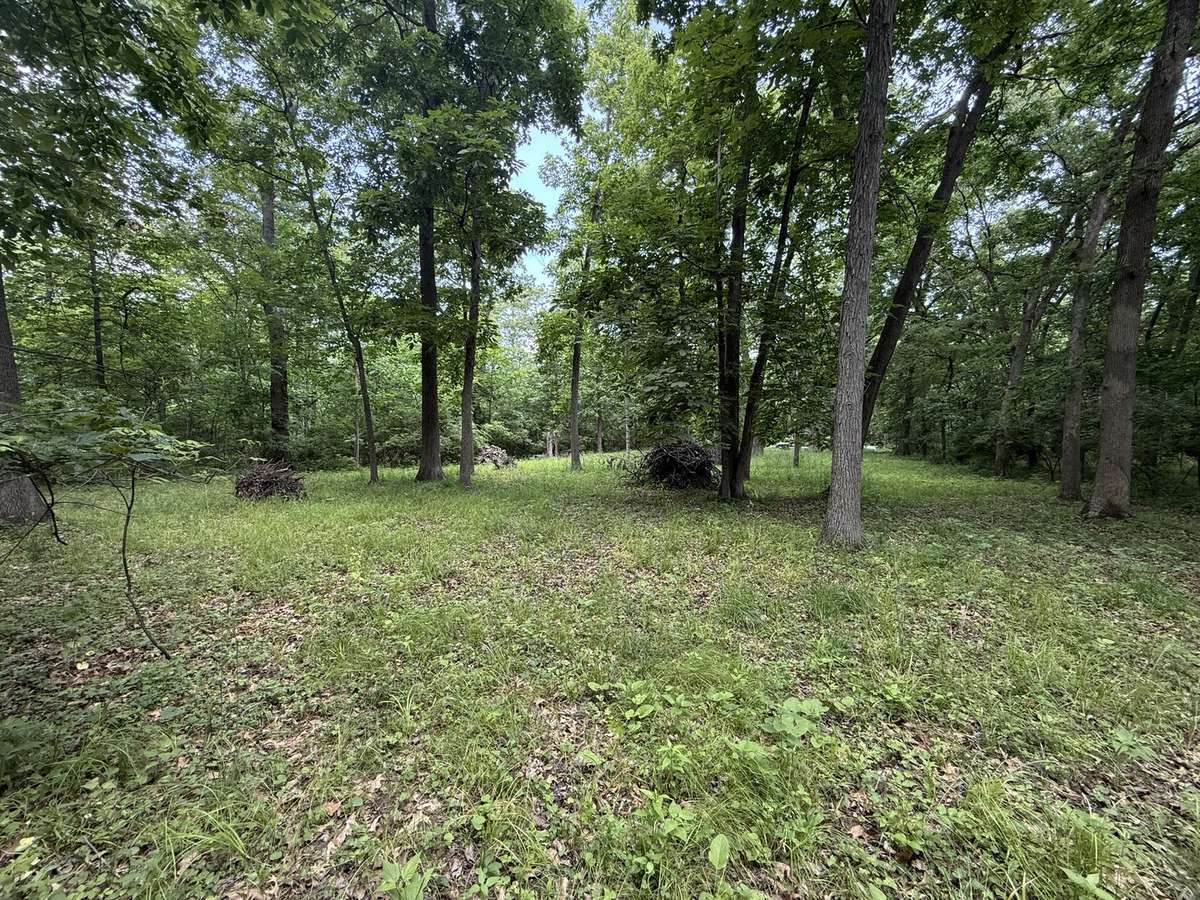 Lot 235 Lake Thunderbird DR, Tiskilwa, IL 61368