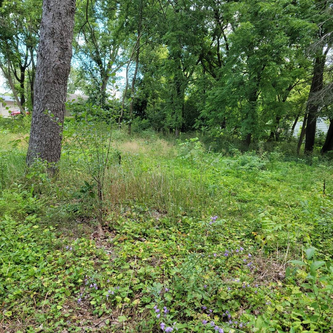 25578 W High ST W, Wauconda, IL 60084