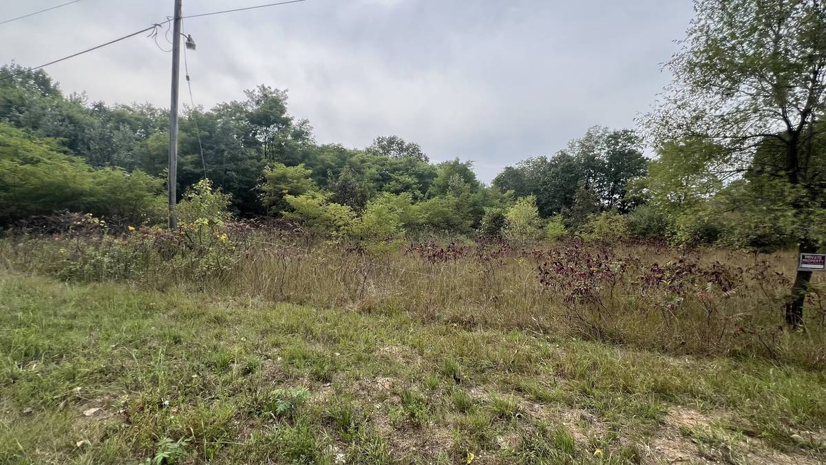 0007 Green Acres RD, Pembroke Twp, IL 60958