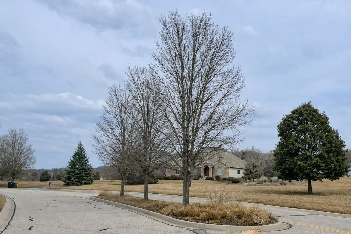 1852 Red Oak LN, Spring Grove, IL 60081