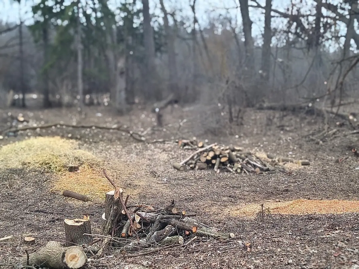 Lot 1 Asbury AVE, Fox River Grove, IL 60021