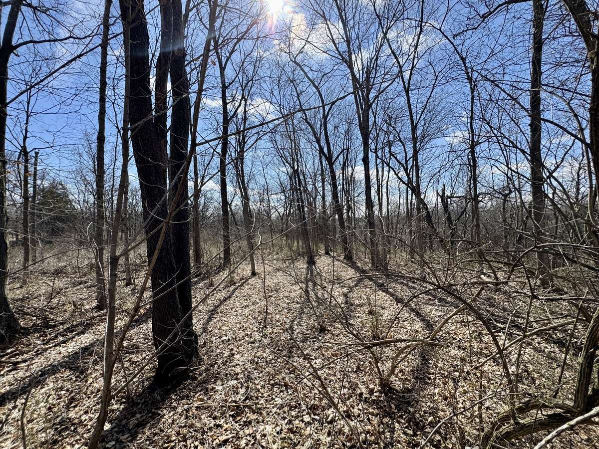 0 1725 E ST, Tiskilwa, IL 61368