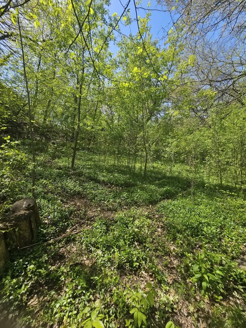 38581 N Hillandale DR, Spring Grove, IL 60081