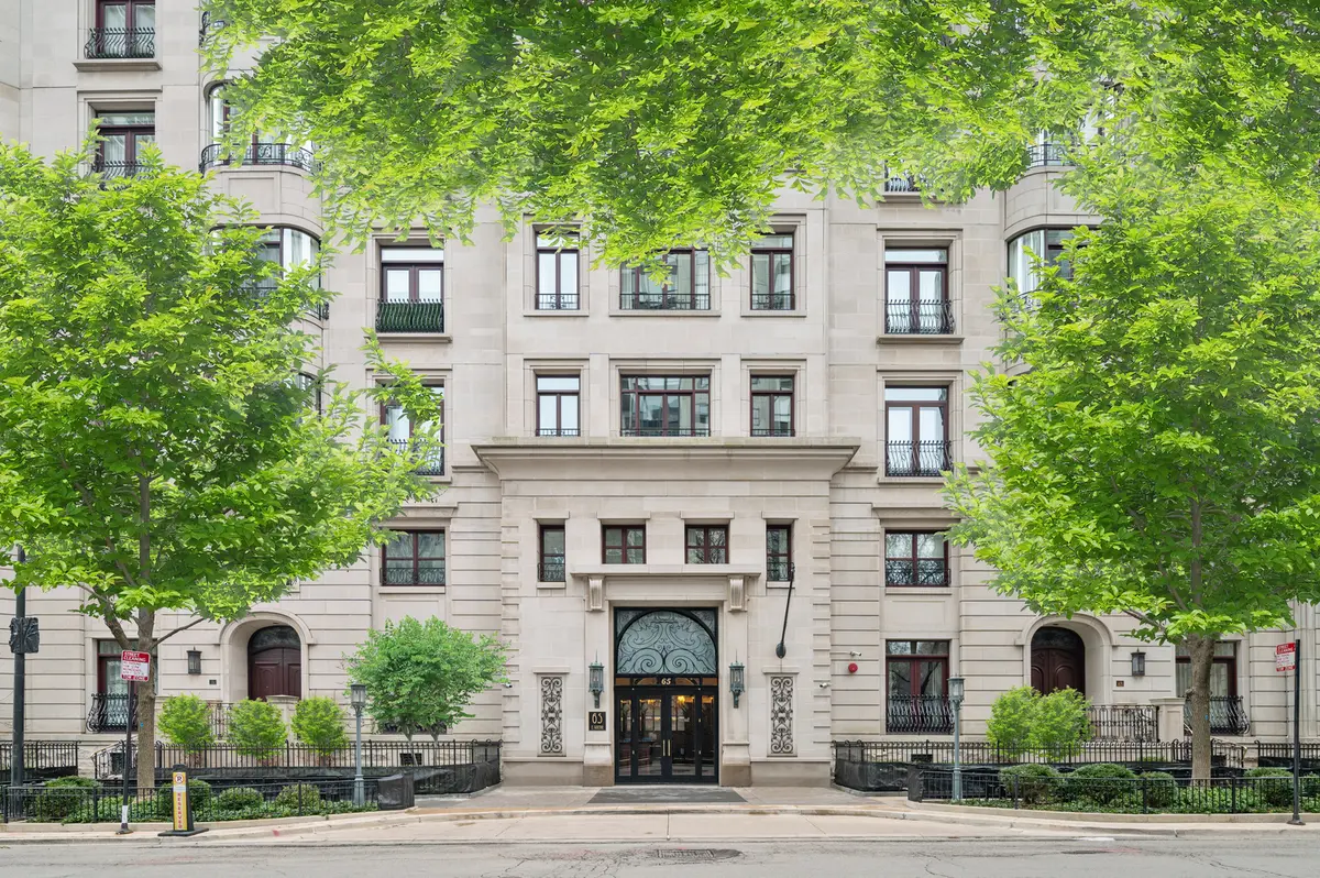 65 E GOETHE ST #3W, Chicago, IL 60610