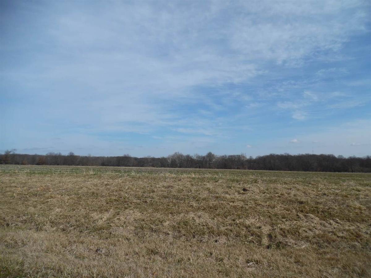Tract 2 N McDermott LN, Mt Vernon, IL 62864