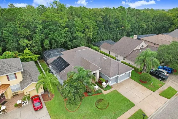 16116 IVY LAKE DR, Odessa, FL 33556