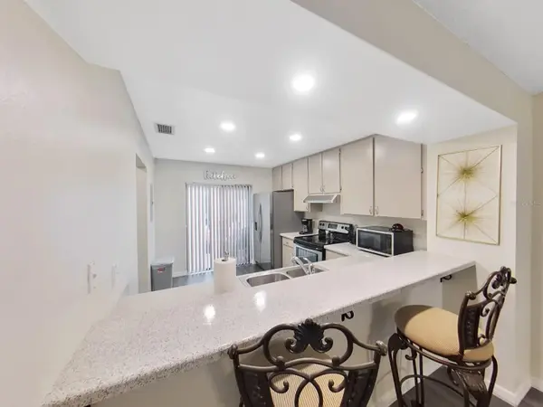 7805 AMBERLEA CT, Temple Terrace, FL 33637