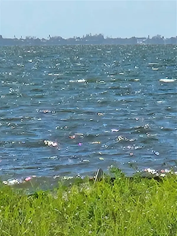 337 N SHORE DR, Sarasota, FL 34234