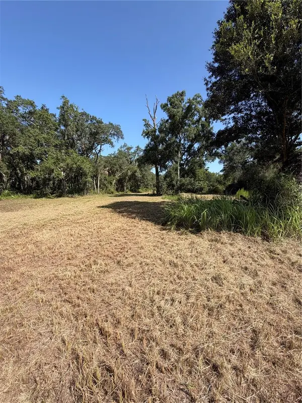 8671 SW DEER TRL, Arcadia, FL 34266