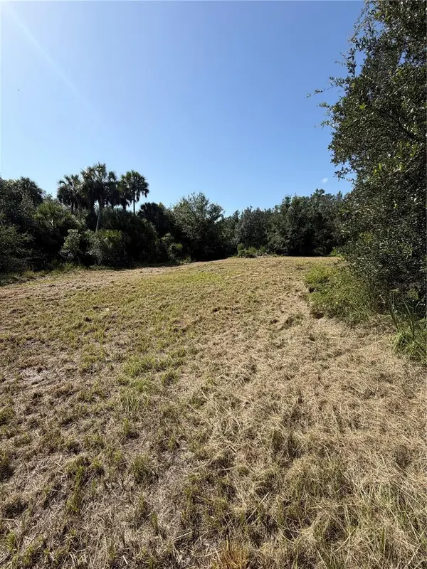 8671 SW DEER TRL, Arcadia, FL 34266