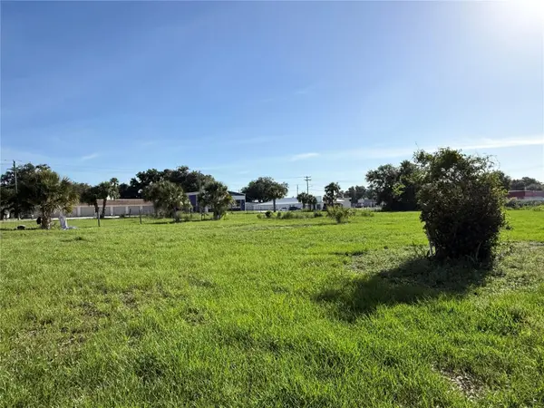 1015 MAKOWSKI RD, Wauchula, FL 33873