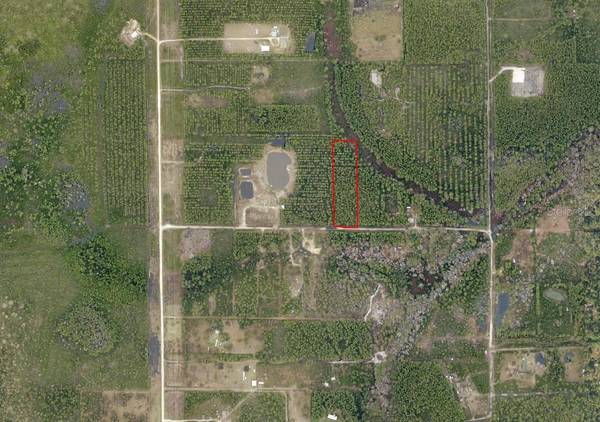 NE 215TH ST, Fort Mc Coy, FL 32134
