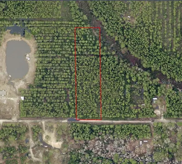 NE 215TH ST, Fort Mc Coy, FL 32134