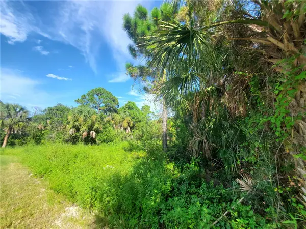 395 RAMBLEWOOD ST, Port Charlotte, FL 33953