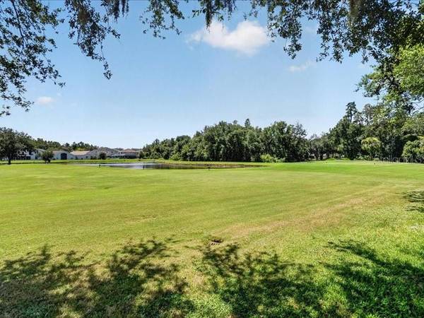 10420 LUCAYA DR, Tampa, FL, 33647 photo 39