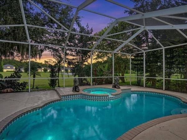 10420 LUCAYA DR, Tampa, FL, 33647 photo 35