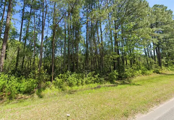 4739 COUNTY ROAD 218 RD, Middleburg, FL 32068