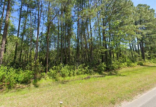4739 COUNTY ROAD 218 RD, Middleburg, FL 32068