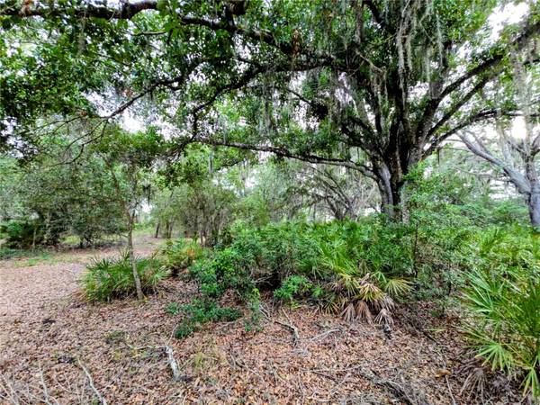 AVON-PARK CUTOFF RD, Fort Meade, FL 33841