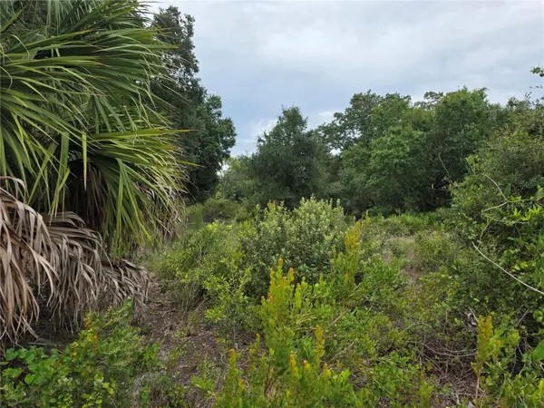 2354 MARCELLA TER, Punta Gorda, FL 33983