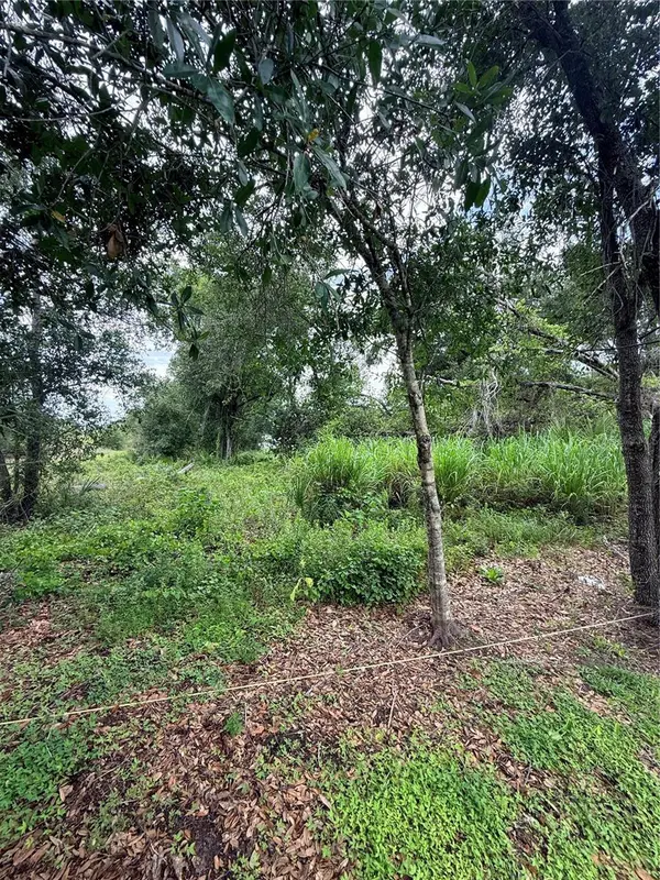574 ENCARNACION ST, Punta Gorda, FL 33983