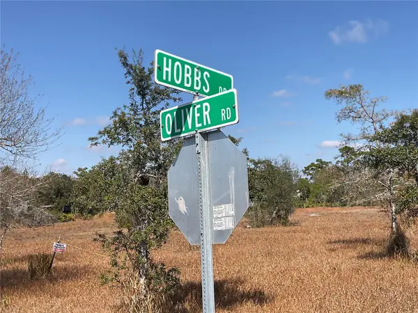 490 HOBBS DR, Venus, FL 33960