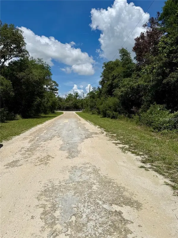 Lot 10 LONG CIR, Webster, FL 33597