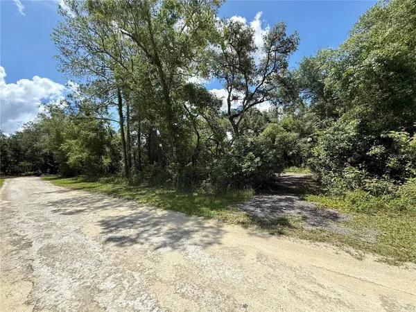 Lot 10 LONG CIR, Webster, FL 33597