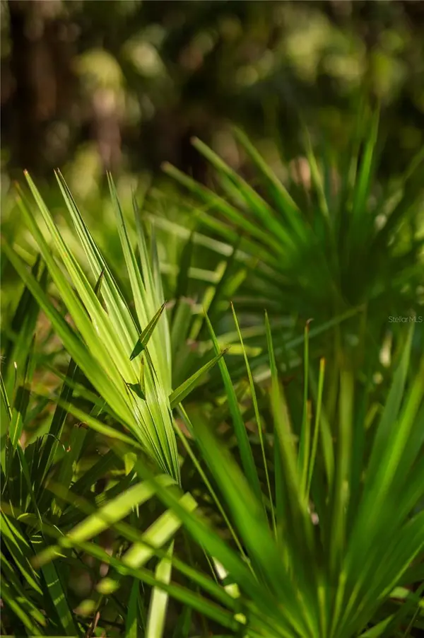 SW AURIN GRADE #A, Arcadia, FL 34266