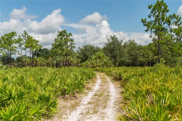 SW AURIN GRADE #A, Arcadia, FL 34266