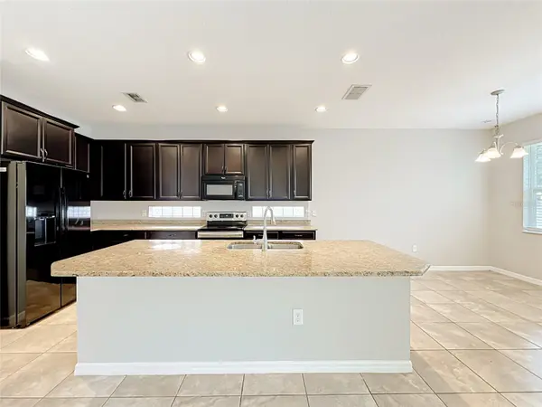 3319 BETHPAGE LOOP, Mount Dora, FL 32757