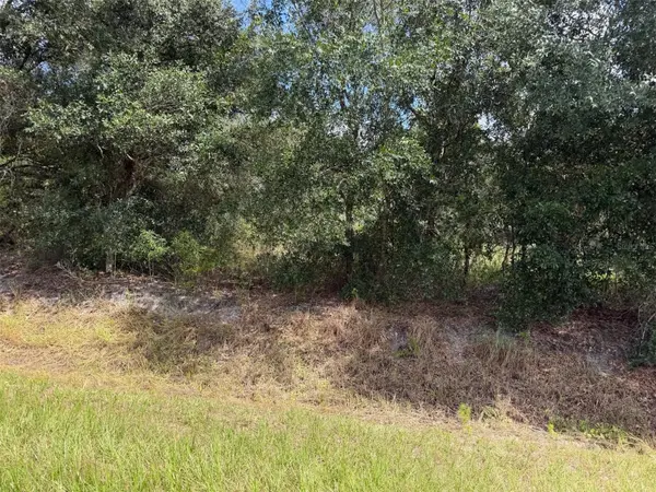21971 NW 260TH ST, Okeechobee, FL 34972