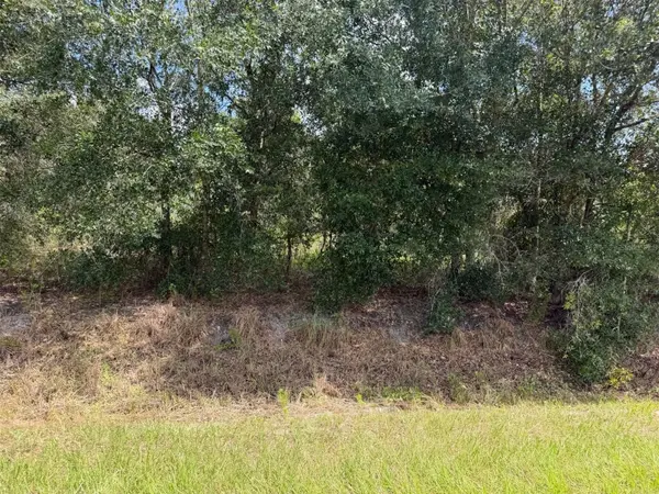 21971 NW 260TH ST, Okeechobee, FL 34972