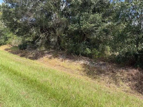 21971 NW 260TH ST, Okeechobee, FL 34972