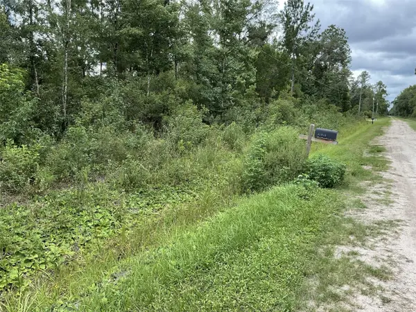 10210 VAUGHAN AVE, Hastings, FL 32145