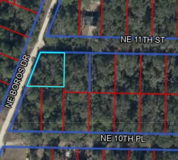 0 NE 11TH ST, Williston, FL 32696