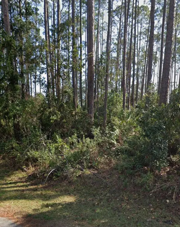 21 ERICKSON PL, Palm Coast, FL 32164