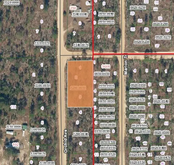 XX ORCHID AVE, Interlachen, FL 32148