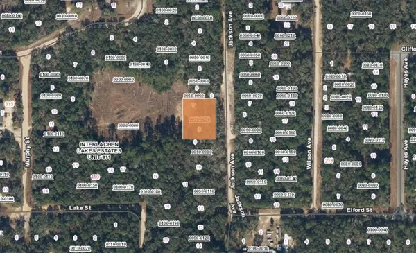 XX JACKSON AVE INTERLACHEN FL, Interlachen, FL 32148