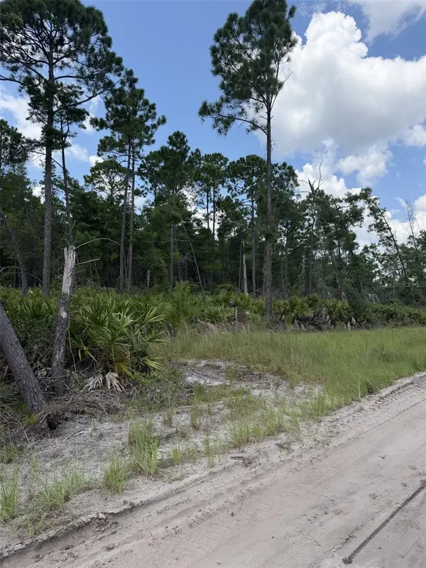 00 RIDGEHAVEN AVE, Ormond Beach, FL 32174