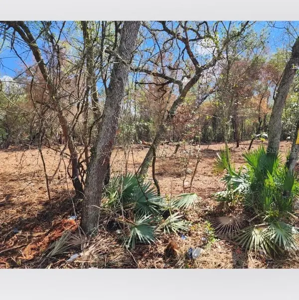 20445 SE 156TH ST ST, Umatilla, FL 32784
