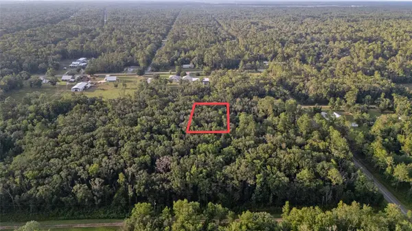 4715 ALVIN ST, Hastings, FL 32145